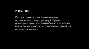 День 251. Библия за год. С митрополитом Иларионом.