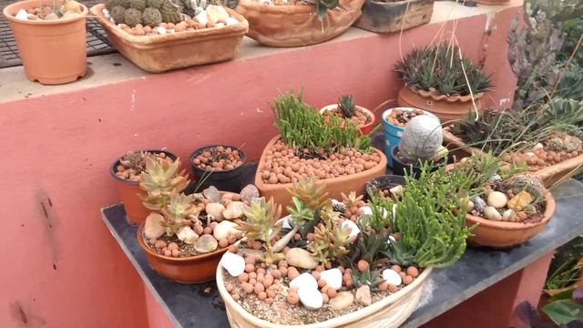4K Video Recorded with LG G3 Android Phone (No editing done) смотреть онлайн
