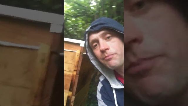 Міні-кочова пасіка смотреть онлайн