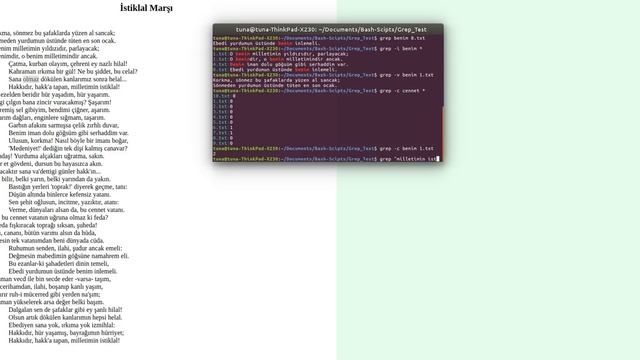 grep komutunu istiklal marsi örnekli anlatim Linux bash Terminal türkce смотреть онлайн