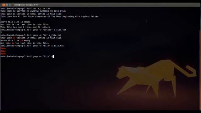 Module 11: Part 2 (RegularExpressions-grep) смотреть онлайн
