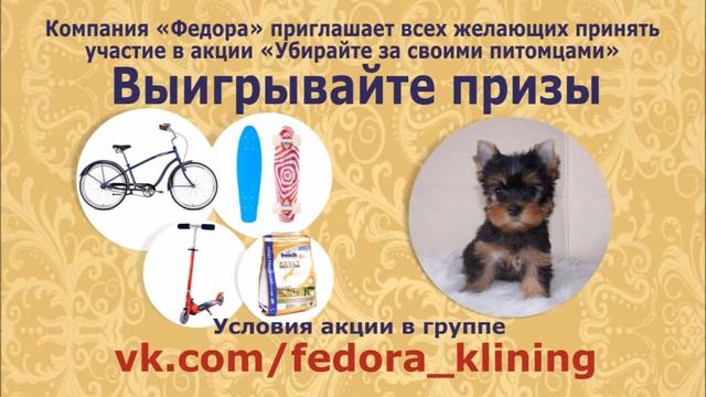 Федора "Убирайте за своими питомцами". Fedora Ubiray za pitomzami 3 смотреть онлайн