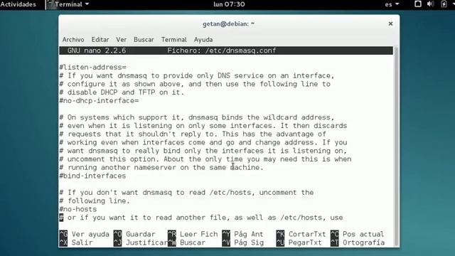 Debian DNSmasq смотреть онлайн