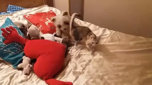 10.07.2017 - Санта (теперь Тесла) намекает: 