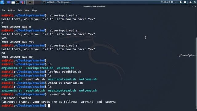 bash scripting Prompting user for input and hide reading it using read lab on kali смотреть онлайн