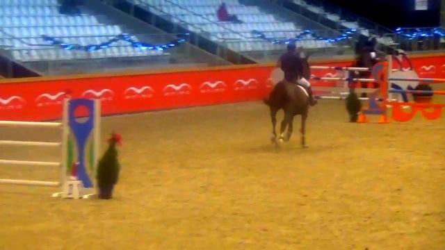 Kerly de Regor.2010 Mare.Darco x Cento.6yr Final CSI** Sentower. смотреть онлайн