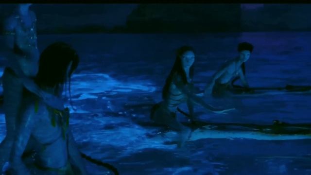 Avatar• Street By [Doja Cat]￼