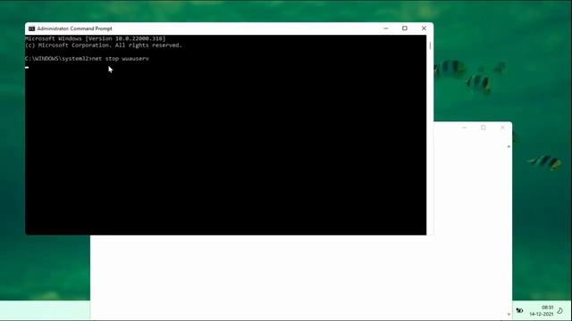 How to Fix Some Update Files are Missing Error Code 0x80070570 in Windows 10 and 11 смотреть онлайн
