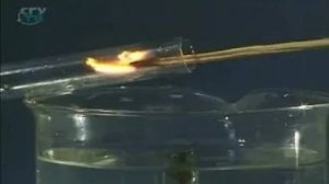 Лист. Выделение растением кислорода