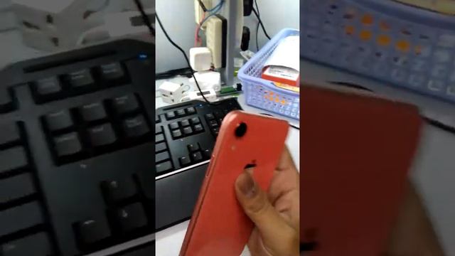 Iphone Xr Coral
