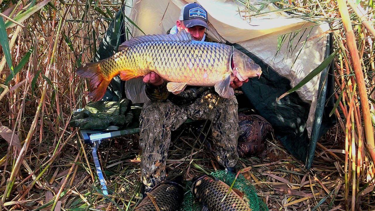 БЕШЕНЫЕ САЗАНЫ ГНУТ ПАЛКИ В ДУГУ! РЫБАЛКА ПО ХОЛОДУ. ЗАБРАЛСЯ В САМУЮ ДИЧЬ И ПОПАЛ НА ЖОР смотреть онлайн