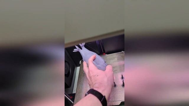 печать орел светильник на 3д принтере. смотреть онлайн