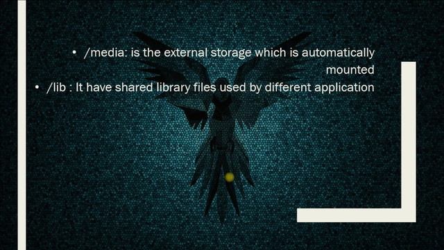 What is the file structure in Linux-- #हिंदी में || HACKERA смотреть онлайн