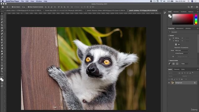 NEW! Photo Manipulation Tools Liquify and Photo Touchup смотреть онлайн