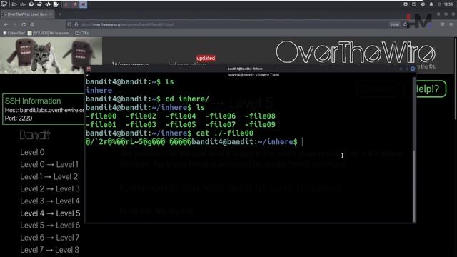 Bandit - 4 | Wildcards смотреть онлайн