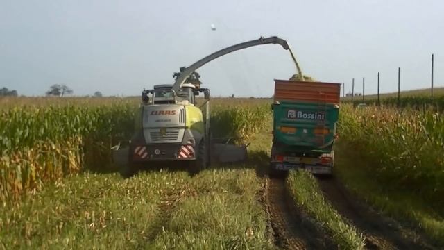 Trinciato Mais 2014. Claas Jaguar 970, Axion 830, Fendt 724, NH t7.210 смотреть онлайн