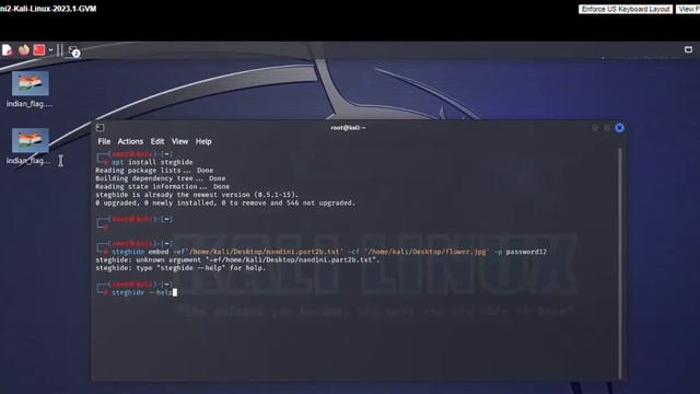 Steghide смотреть онлайн