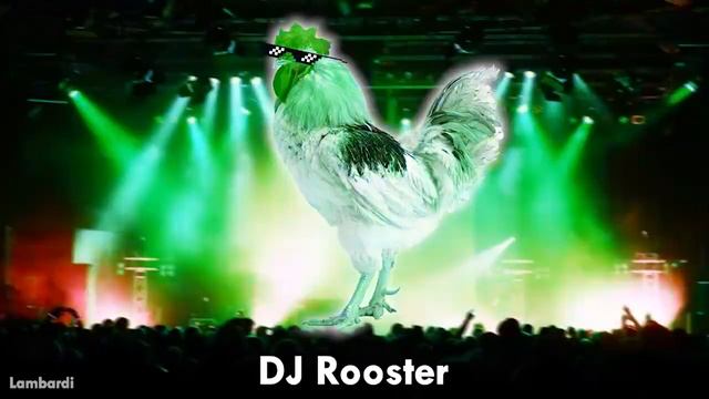 15 Rooster Sounds #meme