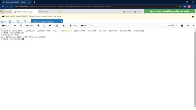 Comando CHMOD en LINUX смотреть онлайн
