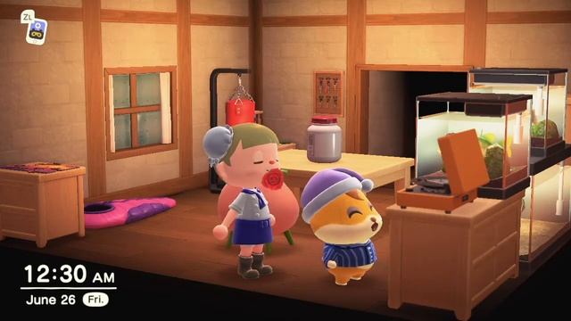 Hamlet singing another K.K. Slider song (Animal Crossing New Horizons: ACNH) смотреть онлайн