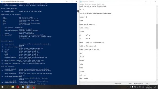 WSL 50+ basic commands смотреть онлайн