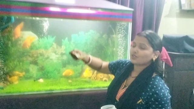 # Mere Ghar ke anmol ratan смотреть онлайн