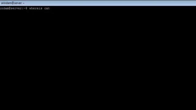 Linux - whereis Command - w3resource смотреть онлайн