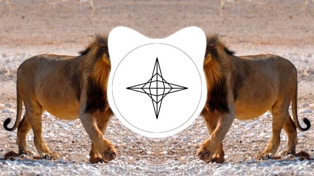 Galantis - Hunter (Quinta Remix)