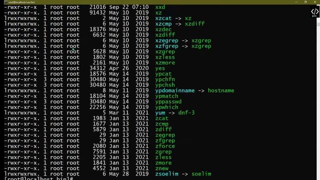 Which Command : #which | Linux File Management Commands | Linux Command | Class #14 смотреть онлайн
