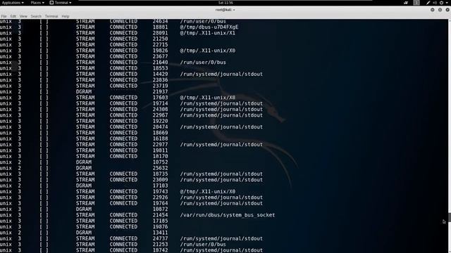 Linux for Etical Hackers (Kali Linux Tutorial) смотреть онлайн