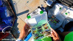 Все ли приманки ловят одинаково в Астраханской области?
Guide Select Drop Shot 235 и воблер UL Shad