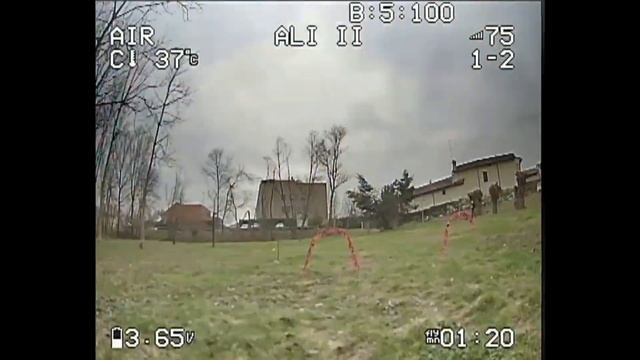 New gate for the next lockdown Emax TinyHawk Freestyle II 2S "ALì II" by Nene di Porciglia смотреть онлайн