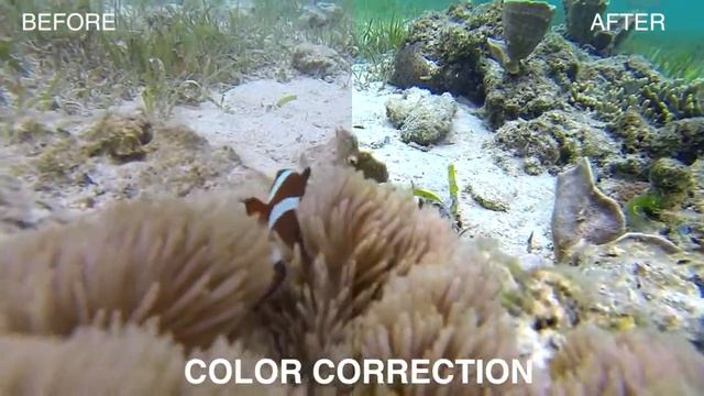 Final Cut Pro Color Correction смотреть онлайн