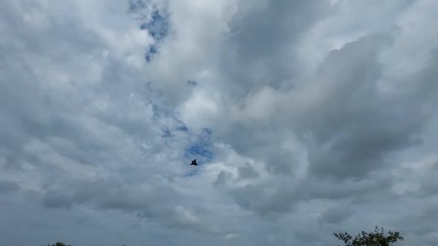 Saab Draken Jet Fly's bye смотреть онлайн