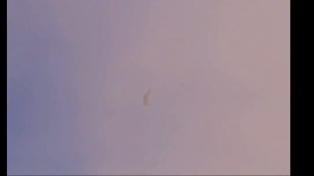 2021 Virtual FSX Royal Air Force Typhoon Display Team Display Teaser