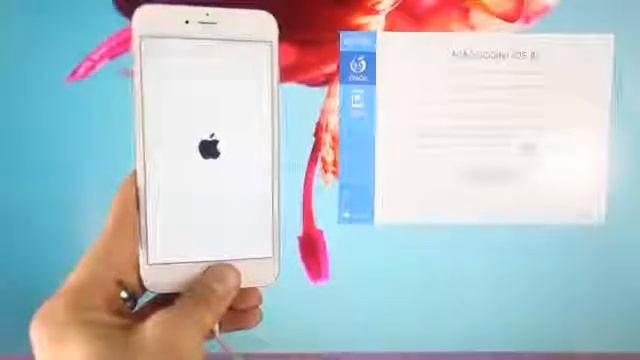 NEW One Click IOS 8 1 Jailbreak Untethered   IPhone 6 Plus, 6, 5S, 5C, 5, 4S, IPad & IPod Touch