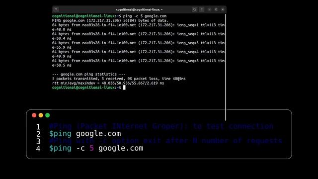 Basic Networking Commands in Linux (Bangla) | Part 1 смотреть онлайн