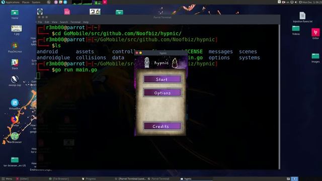 How to run Golang Hypnic Game on Parrot Security Linux смотреть онлайн
