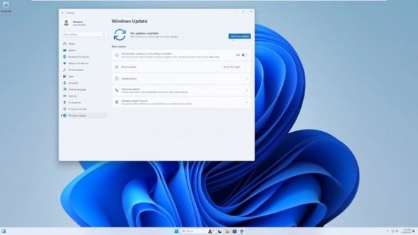 Tiny11 2311 - Installation and Overview