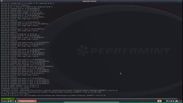 A Quick Look at Peppermint 9 Linux смотреть онлайн