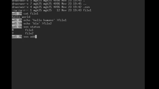 Markus Kuhn (Cambridge) | Unix Tools - 23 Subversion example смотреть онлайн