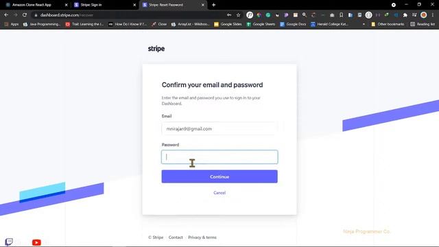 Stripe Payment Processing - Ultimate workflow Beginner's Guide ! | Ninja Programmer Co. 🔴 смотреть онлайн