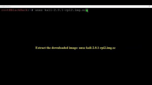 Install Kali Linux on Raspberry Pi Pi 2