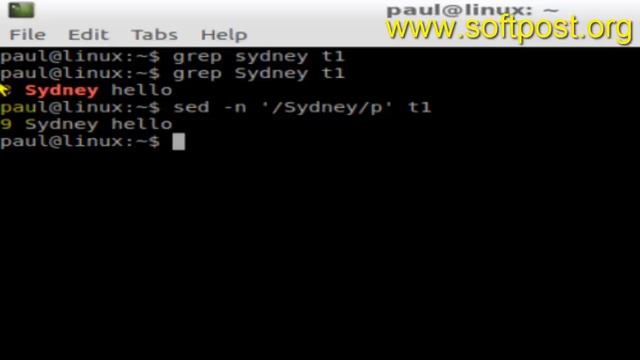 Difference between grep and sed in BASH shell terminal смотреть онлайн