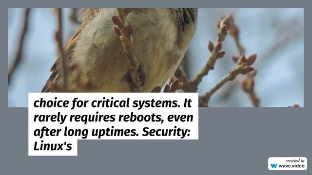 What is LINUX Operating System смотреть онлайн