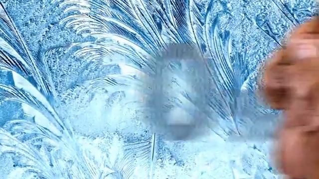 Мир кожи и меха смотреть онлайн