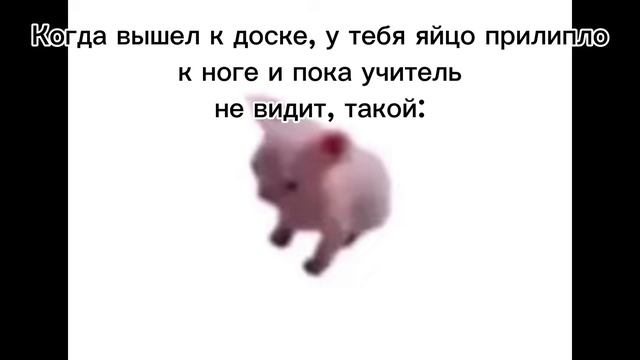 когда яйцо к ноге прилипло: смотреть онлайн