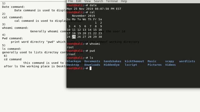 Kali Linux 6 Basic commands смотреть онлайн