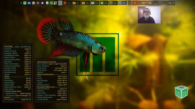 Mabox Linux Live, LMMS AppImage 🐧 смотреть онлайн