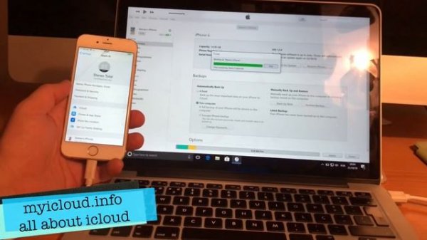Remove icloud iOS 12 password recovery for Apple ID (Elcomsoft)